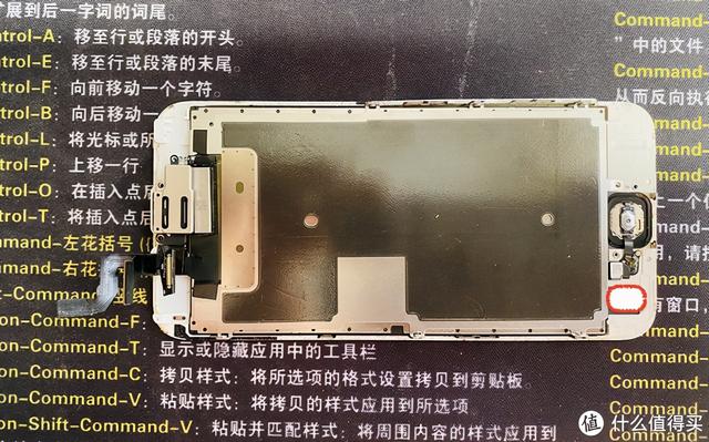 苹果手机home键失灵了怎么办（解决iphone手机home键失灵方法）(18)