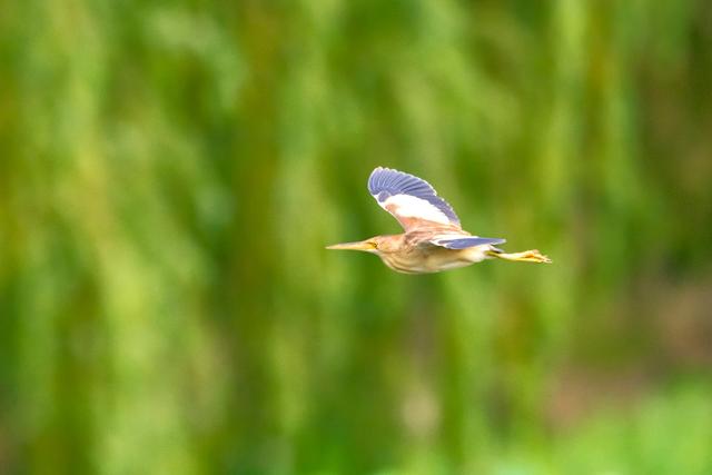 佳能eosr7怎么样（佳能r7值得拥有吗）(49)