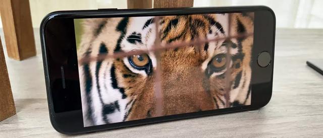 iphone se 2（iphone se2使用感受）(5)