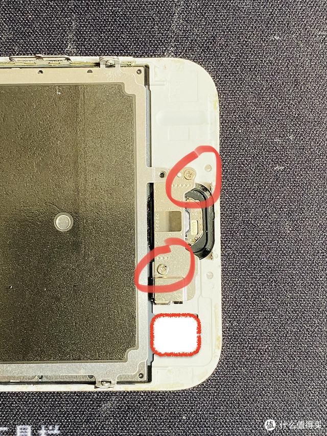 苹果手机home键失灵了怎么办（解决iphone手机home键失灵方法）(14)
