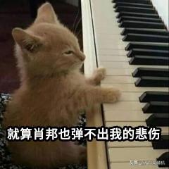 电脑屏幕怎么清洁（电脑屏幕脏了该怎样正确擦拭）(4)