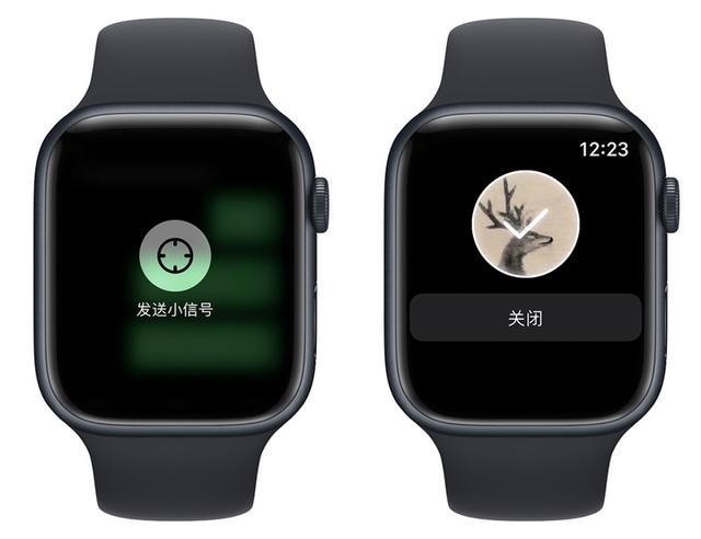 苹果手表功能大全介绍（刚买的apple watch怎么操作）(18)