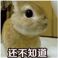页眉上的一条横线怎么去掉（word上页眉有横线删不掉解决方法）(1)