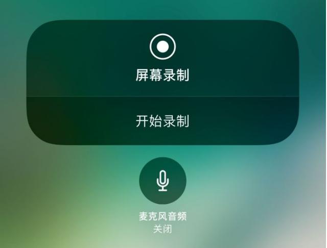 苹果11怎么录屏（手机里最简单的录屏方法）(3)