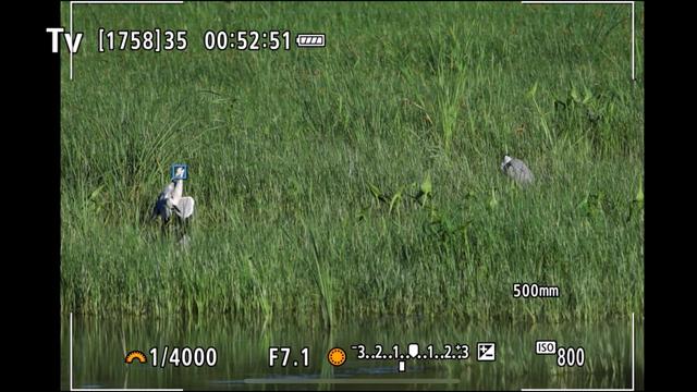 佳能eosr7怎么样（佳能r7值得拥有吗）(17)