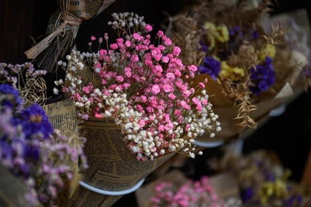 尼康d780值得买吗（高画质的单反尼康D780测评）(10)