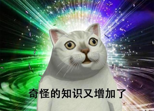 手机网速慢怎么回事（手机为啥信号满格网速很慢）(2)