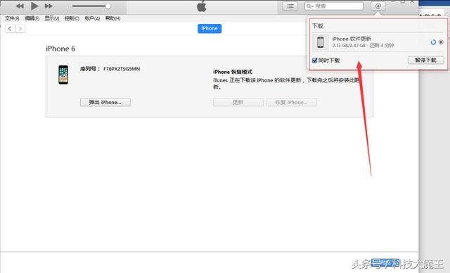 白苹果了怎么恢复正常（苹果手机白苹果不开机如何解决）(5)