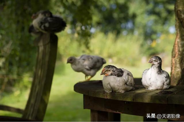 徕卡相机怎么样（徕卡相机值不值得入手呢）(12)