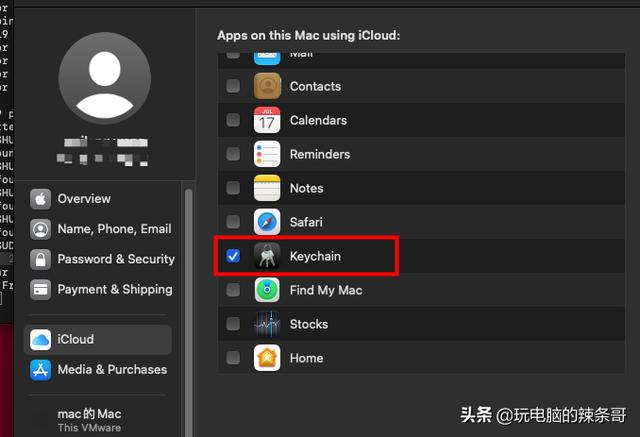 苹果手机看wifi密码怎么看（手机查看已经连接的wifi密码方法）(4)