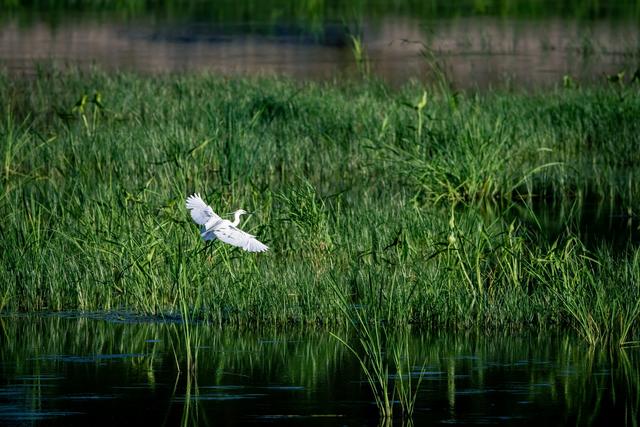 佳能eosr7怎么样（佳能r7值得拥有吗）(24)