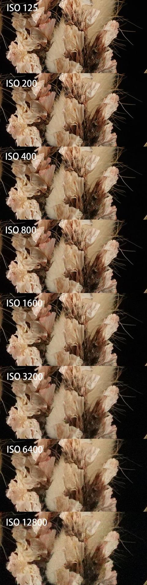 索尼zv1参数配置（索尼ZV1卡片机全面评测体验）(3)