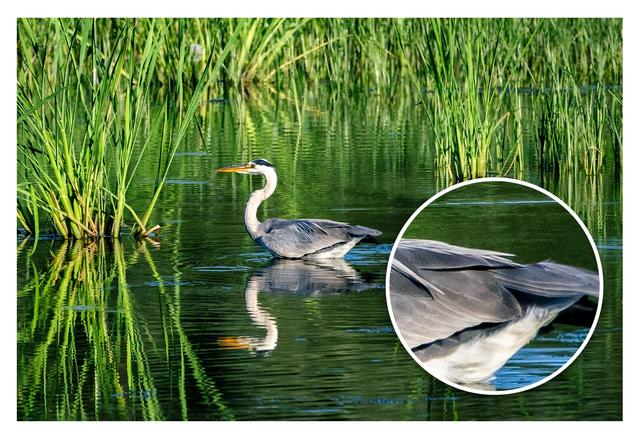 佳能eosr7怎么样（佳能r7值得拥有吗）(21)