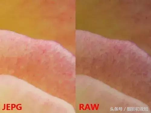 jpg和raw有什么区别（照片选择raw格式还是jpg格式）(7)