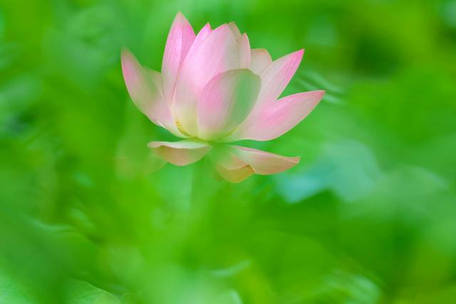 佳能eosr7怎么样（佳能r7值得拥有吗）(45)