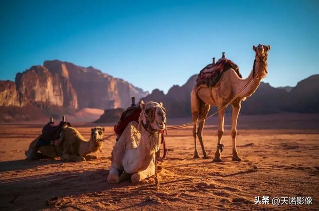 徕卡相机怎么样（徕卡相机值不值得入手呢）(7)