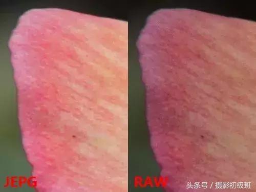 jpg和raw有什么区别（照片选择raw格式还是jpg格式）(6)