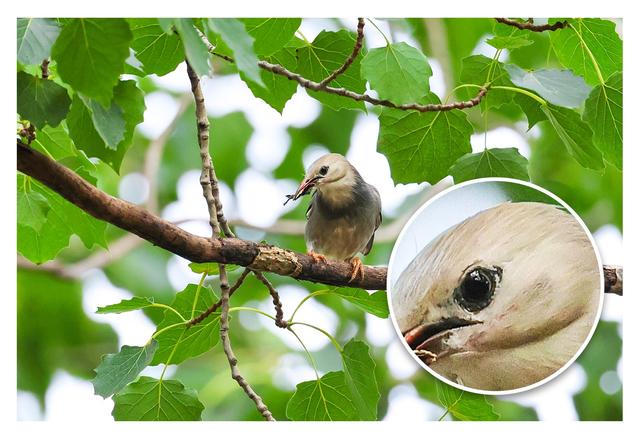 佳能eosr7怎么样（佳能r7值得拥有吗）(22)