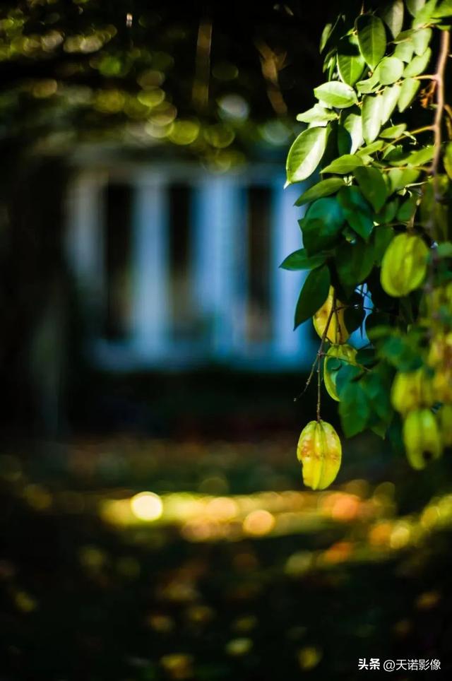 徕卡相机怎么样（徕卡相机值不值得入手呢）(4)