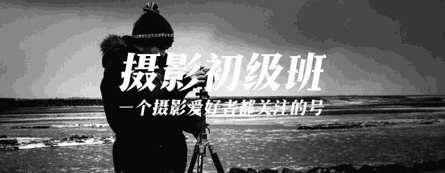 jpg和raw有什么区别（照片选择raw格式还是jpg格式）(1)