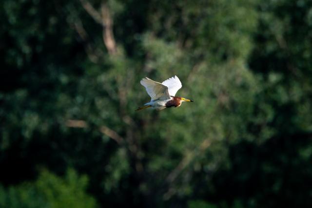 佳能eosr7怎么样（佳能r7值得拥有吗）(18)