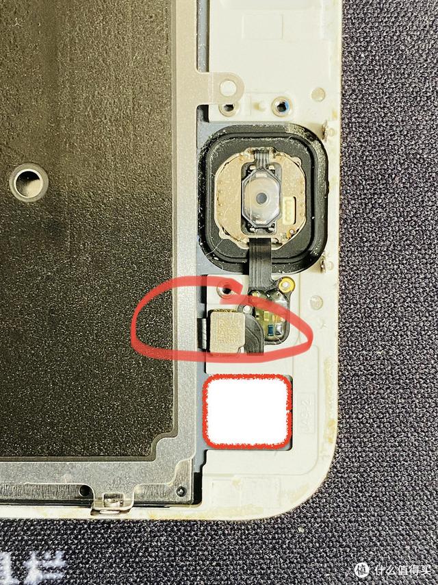 苹果手机home键失灵了怎么办（解决iphone手机home键失灵方法）(15)