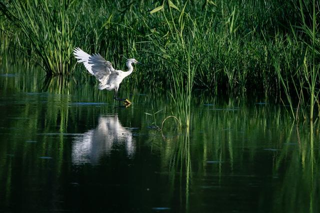佳能eosr7怎么样（佳能r7值得拥有吗）(47)