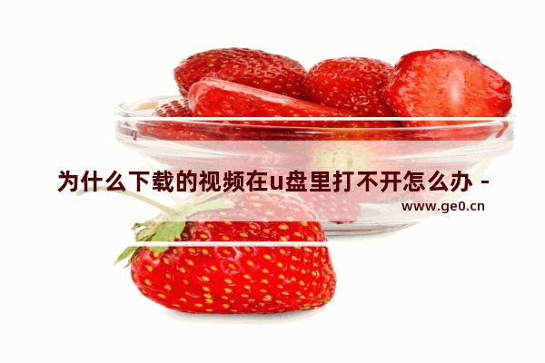 为什么下载的视频在u盘里打不开怎么办 - 视频下载到U盘后无法播放怎么办？