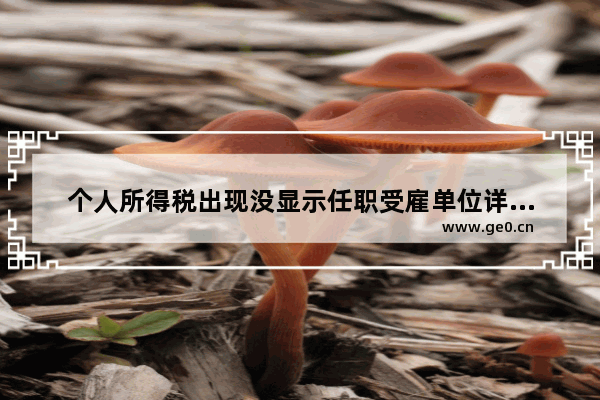 个人所得税出现没显示任职受雇单位详细原因与解决方法