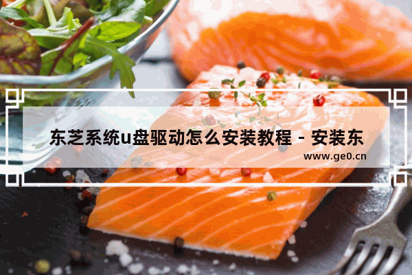 东芝系统u盘驱动怎么安装教程 - 安装东芝系统U盘驱动的详细步骤