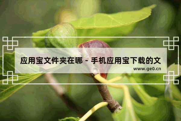 应用宝文件夹在哪 - 手机应用宝下载的文件夹叫什么