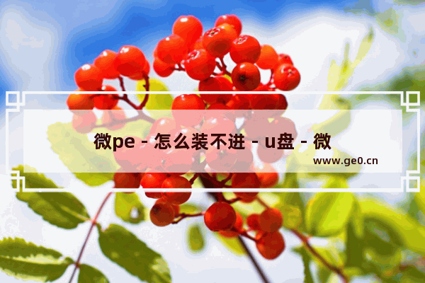 微pe - 怎么装不进 - u盘 - 微PE安装失败如何解决