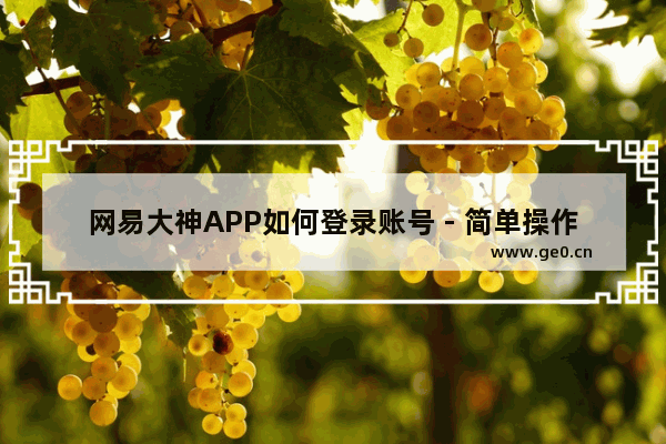 网易大神APP如何登录账号 - 简单操作步骤
