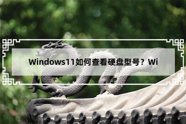 Windows11如何查看硬盘型号？Windows11查看硬盘型号步骤