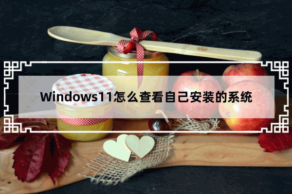 Windows11怎么查看自己安装的系统版本号？Windows11查看自己安装的系统版本号方法