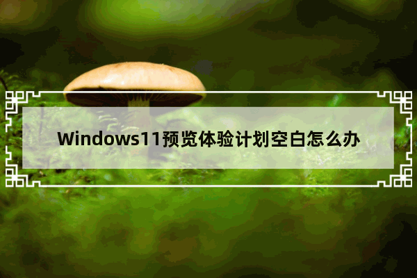 Windows11预览体验计划空白怎么办？Windows11预览体验计划空白处理方法