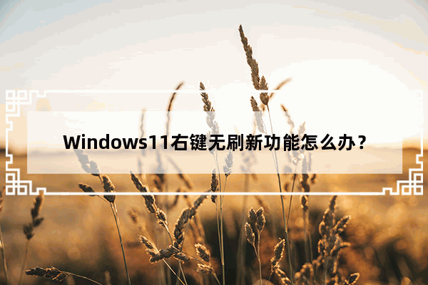 Windows11右键无刷新功能怎么办？Windows11右键无刷新功能解决方法