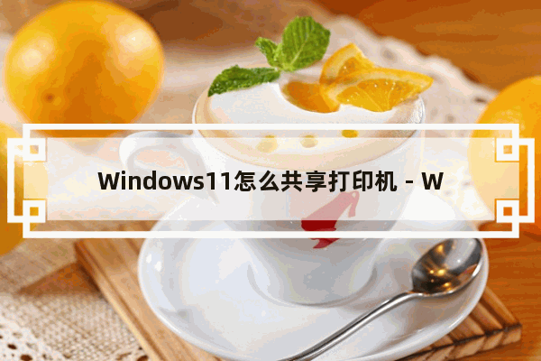 Windows11怎么共享打印机 - Windows11共享打印机怎么设置