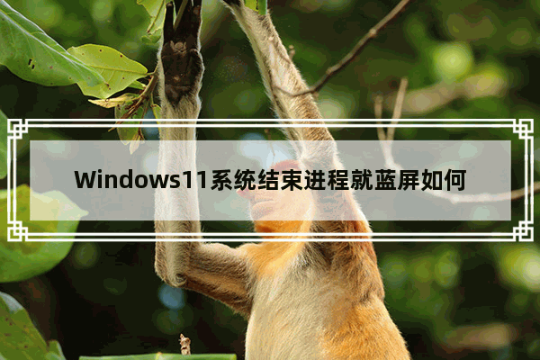 Windows11系统结束进程就蓝屏如何解决？