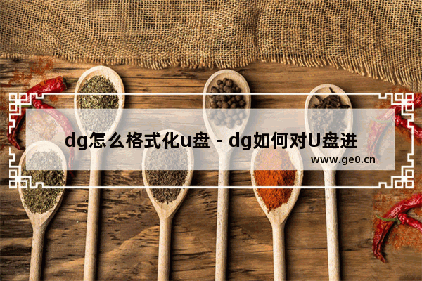 dg怎么格式化u盘 - dg如何对U盘进行格式化