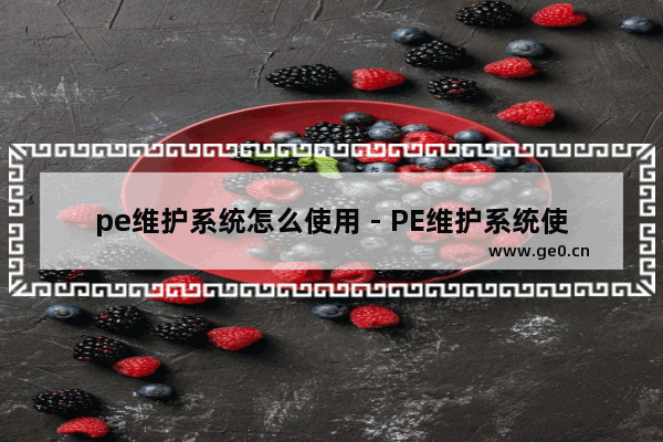 pe维护系统怎么使用 - PE维护系统使用方法大全