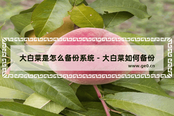 大白菜是怎么备份系统 - 大白菜如何备份系统