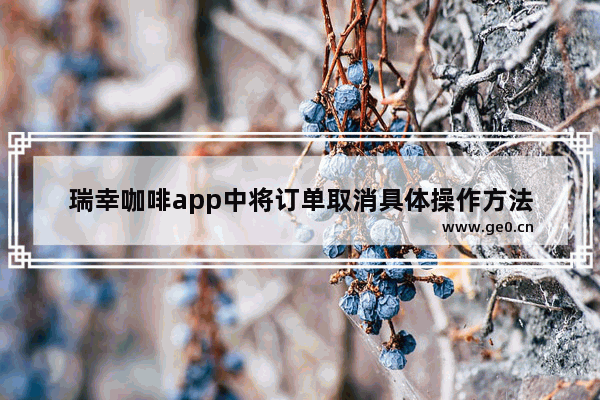 瑞幸咖啡app中将订单取消具体操作方法