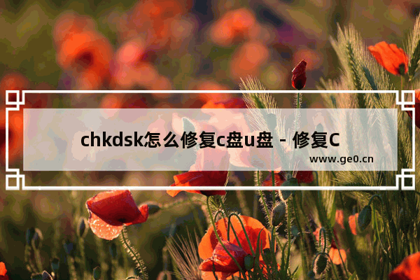chkdsk怎么修复c盘u盘 - 修复C盘和U盘的chkdsk教程